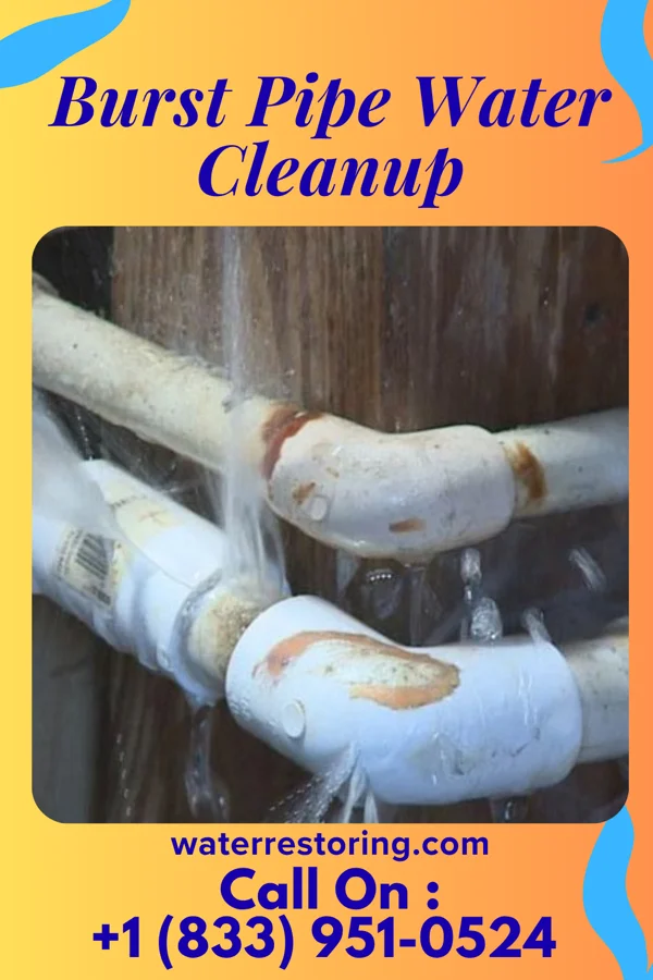 Burst Pipe Water Cleanup in Endicott, NY