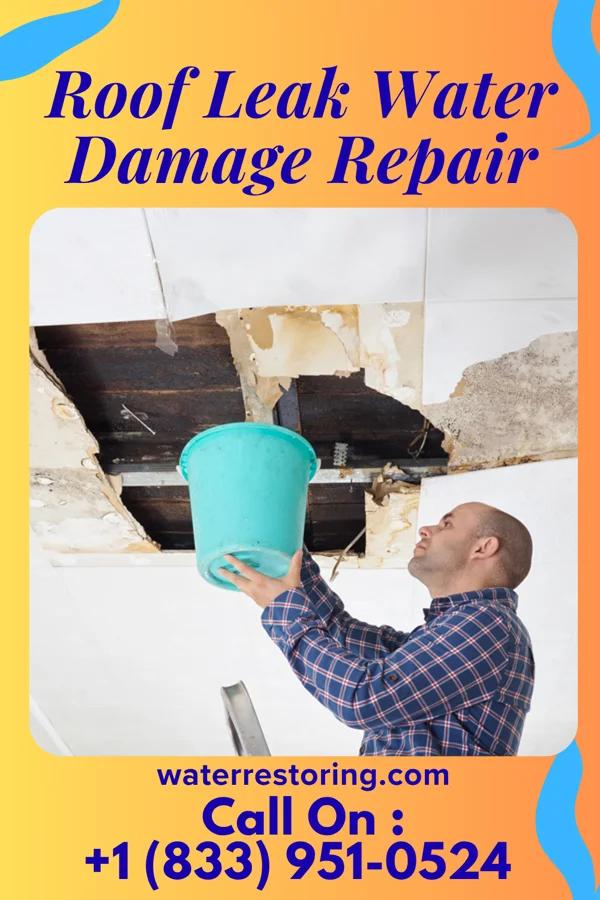 Roof Leak Water Damage Repair in Endicott, NY
