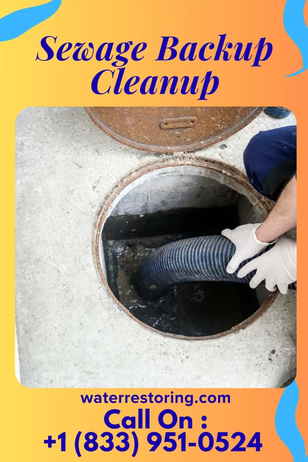 Sewage Backup Cleanup in Endicott, NY