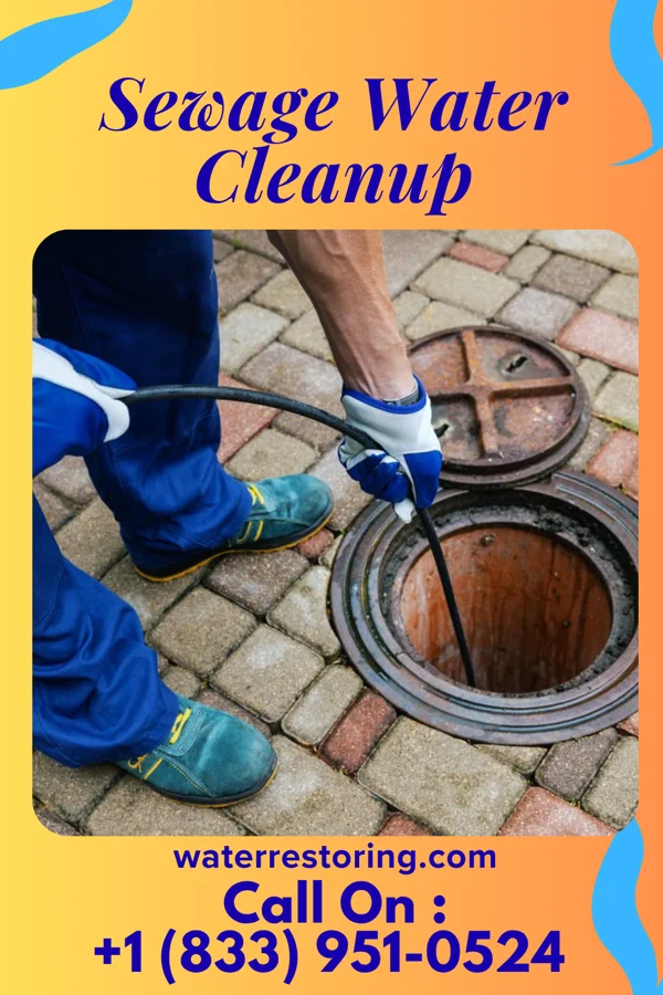 Sewage Water Cleanup in Endicott, NY