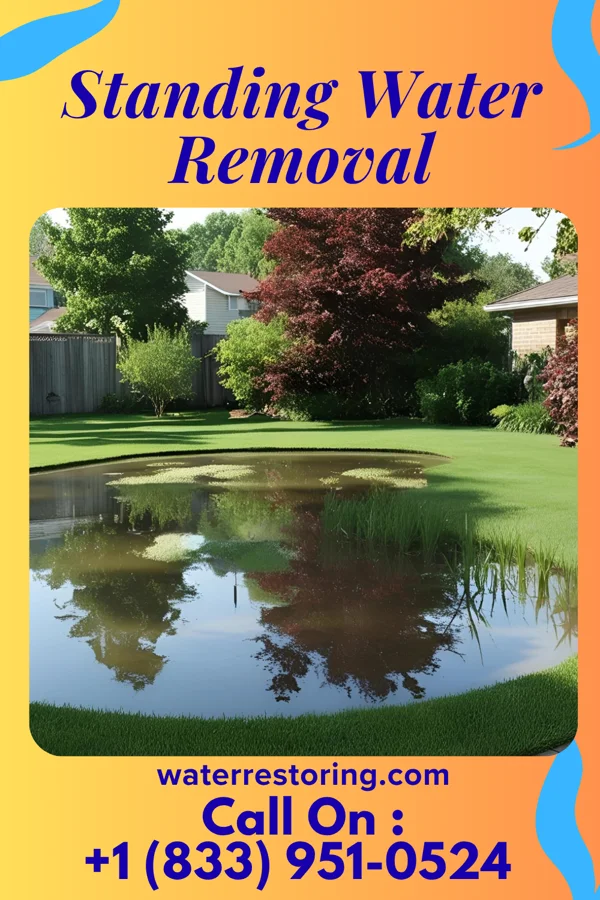 Standing Water Removal in Endicott, NY